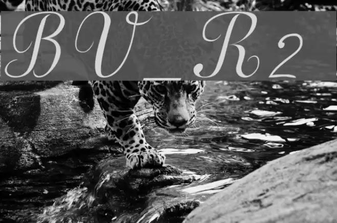 BV_Rondes2 ital Font examples