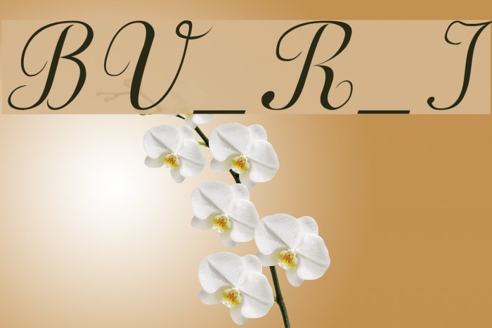 BV_Rondes_Ital Font examples