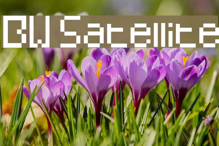 BW Satellite Font examples