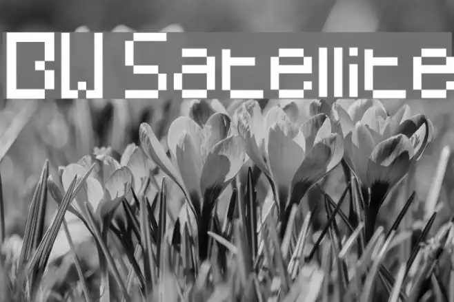 BW Satellite Example 3