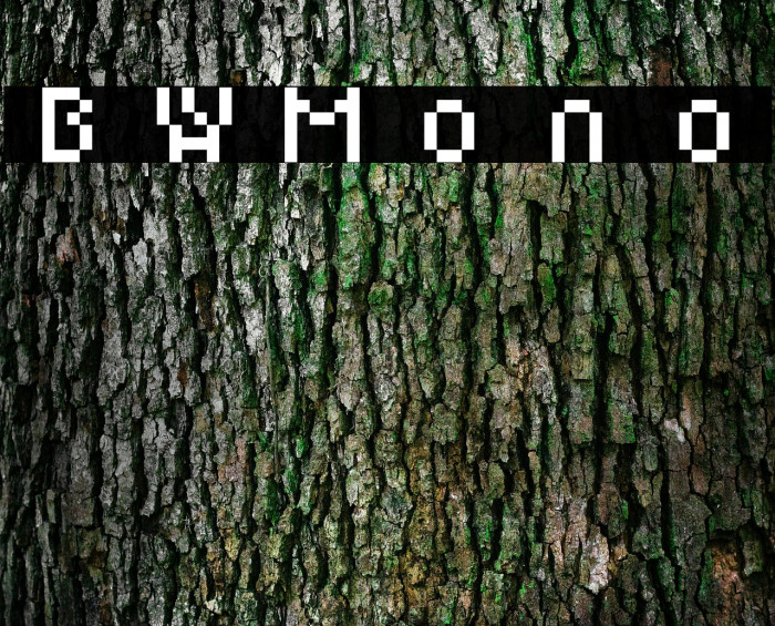 BWMono Font examples