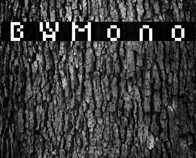 BWMono Example 3