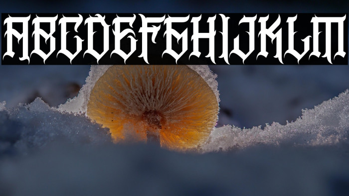 BWSNORTHLAND Example 1