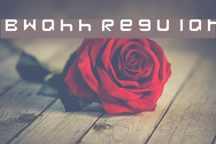 Bwahh Regular Font examples