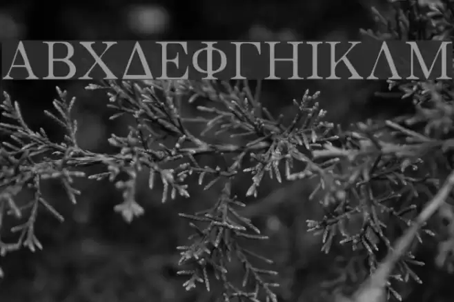 Bwgrkl Schriftart examples