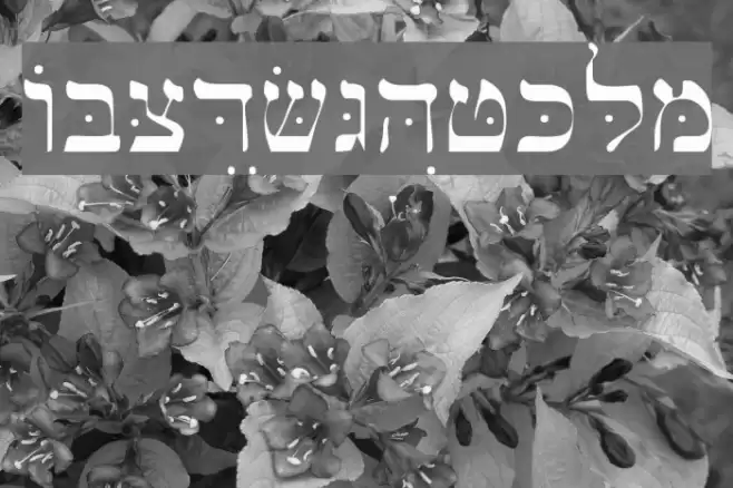 Bwhebl フォント examples
