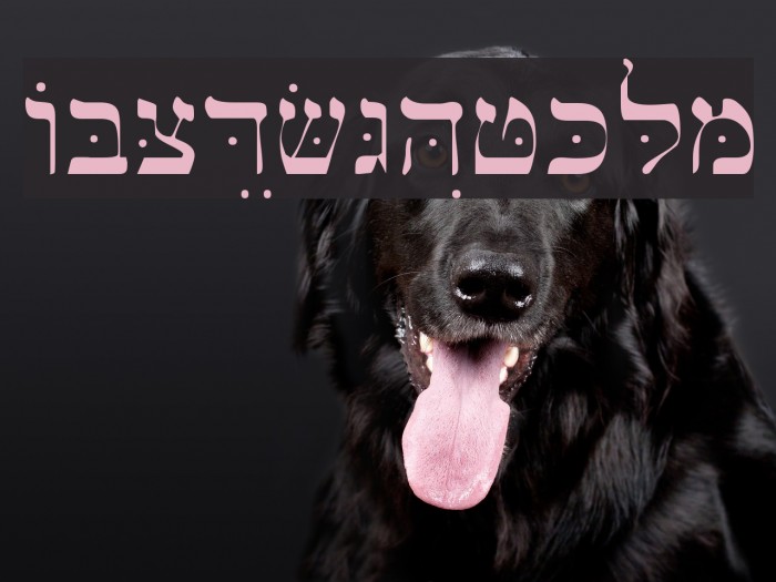 Bwhebl Font examples