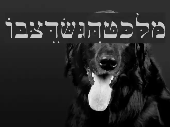Bwhebl フォント examples