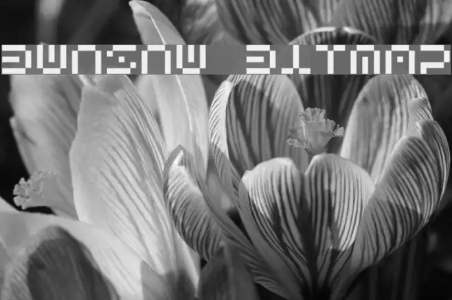Bwnsnw Bitmap Example 1
