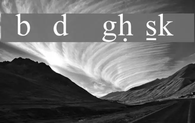 Bwtransh Example 1