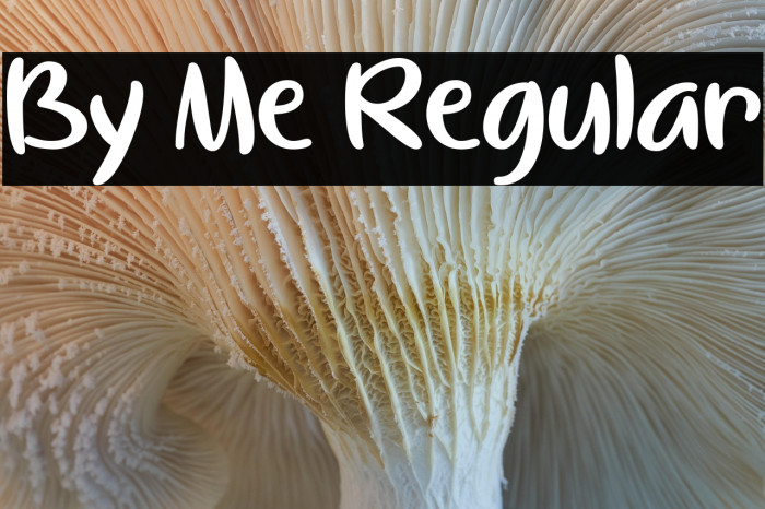 By Me Regular Example 2