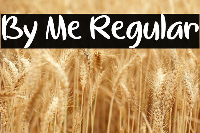 By Me Regular Example 3