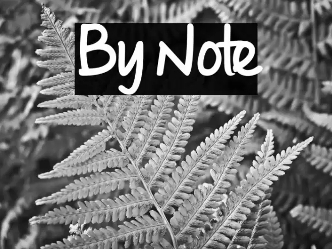 By Note फ़ॉन्ट examples