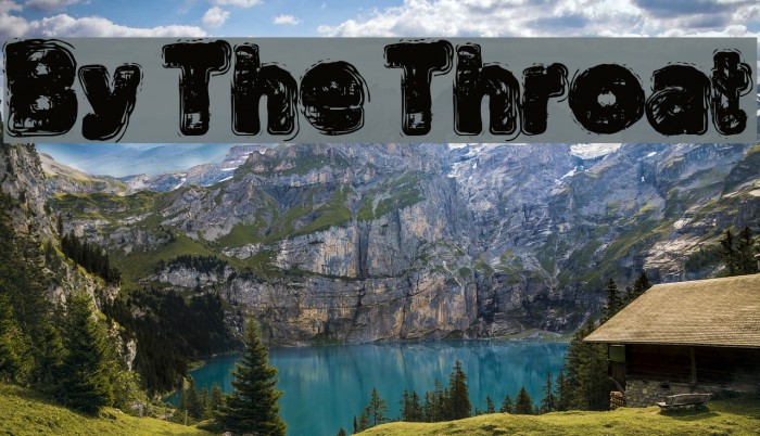 By The Throat Font examples