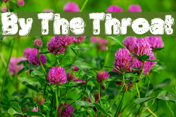 By The Throat Font examples