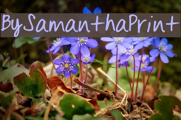 BySamantha_Print Font examples
