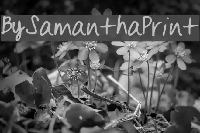 BySamantha_Print Font examples