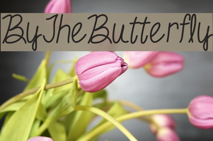 ByTheButterfly Font examples