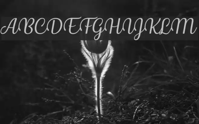 Byby Italic Font examples