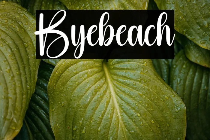 Byebeach Example 3