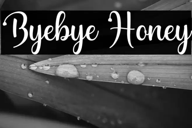 Byebye Honey Font examples