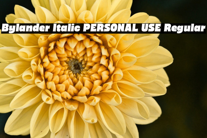 Bylander Italic PERSONAL USE Regular Example 1