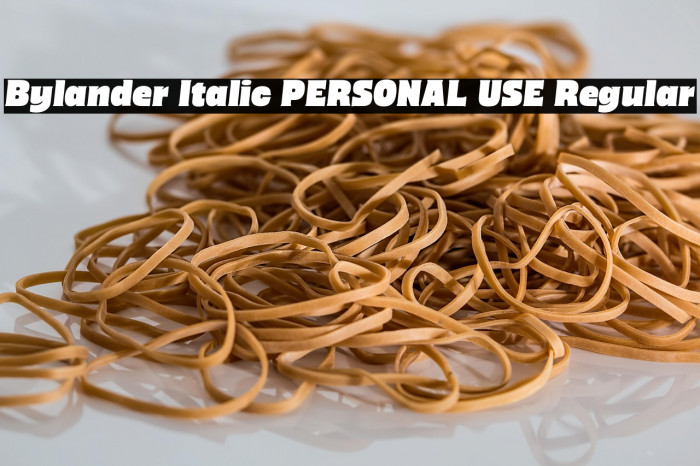 Bylander Italic PERSONAL USE Regular Example 3