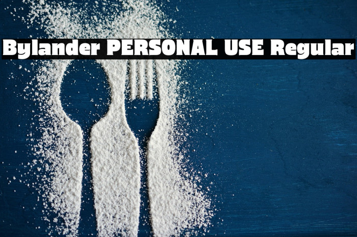 Bylander PERSONAL USE Regular Example 1