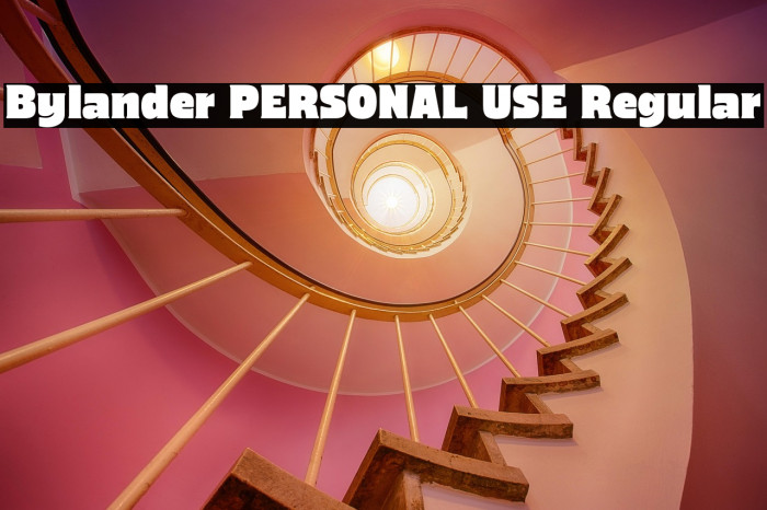 Bylander PERSONAL USE Regular Example 2