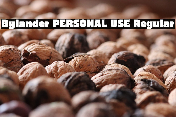 Bylander PERSONAL USE Regular Example 3