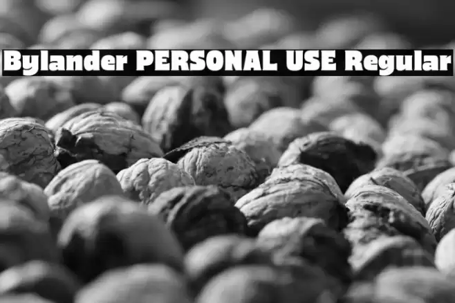 Bylander PERSONAL USE Regular Font examples