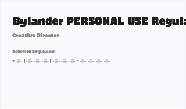 Bylander PERSONAL USE Regular Business Card