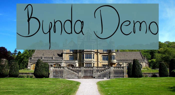 Bynda Demo Example 1