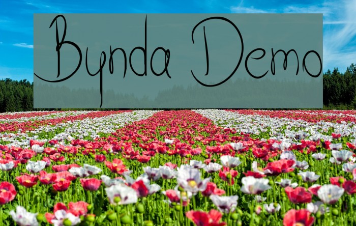 Bynda Demo Example 3