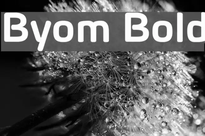 Byom Bold Font examples
