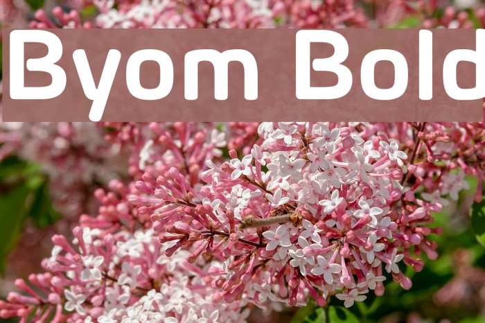 Byom Bold Font examples