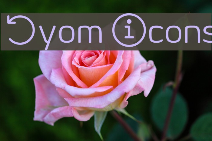 Byom Icons Font examples