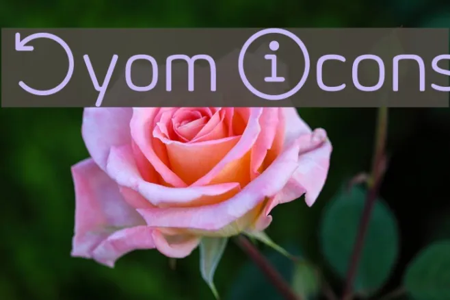 Byom Icons Example 1