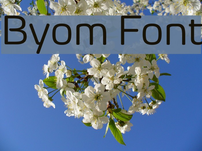 Byom Font examples