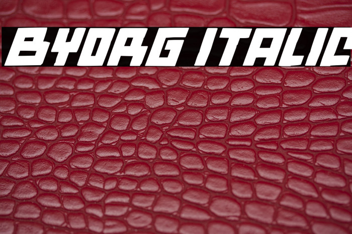 Byorg Italic Example 2