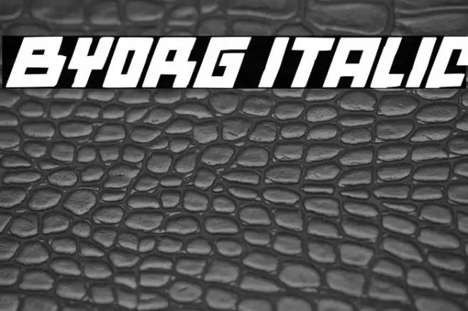 Byorg Italic Font examples