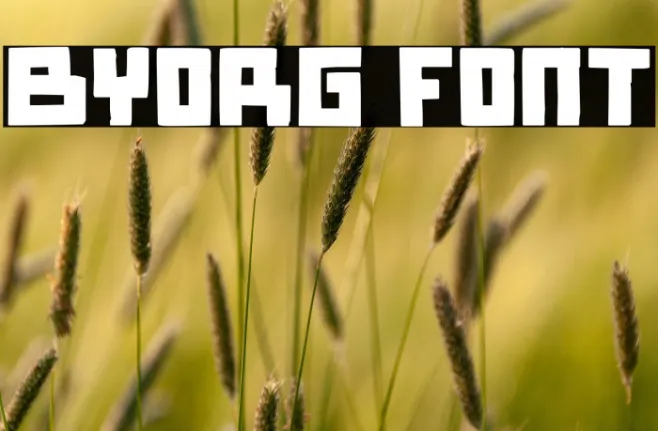 Byorg Example 3