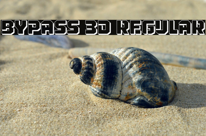Bypass 3D Regular Example 2