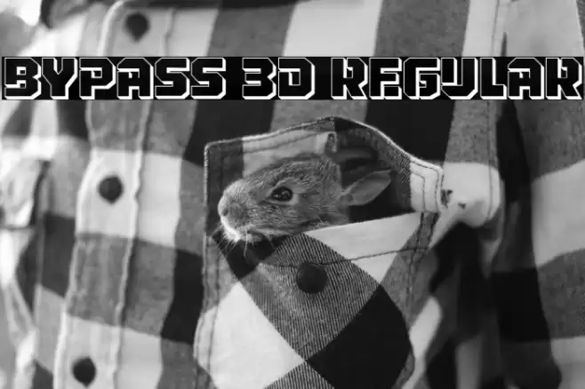 Bypass 3D Regular Font examples