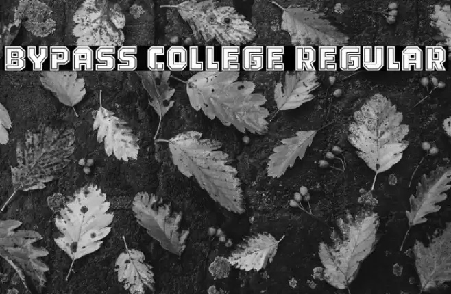 Bypass College Regular Font examples