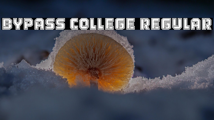 Bypass College Regular Example 3