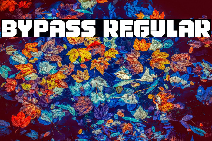 Bypass Regular Example 1