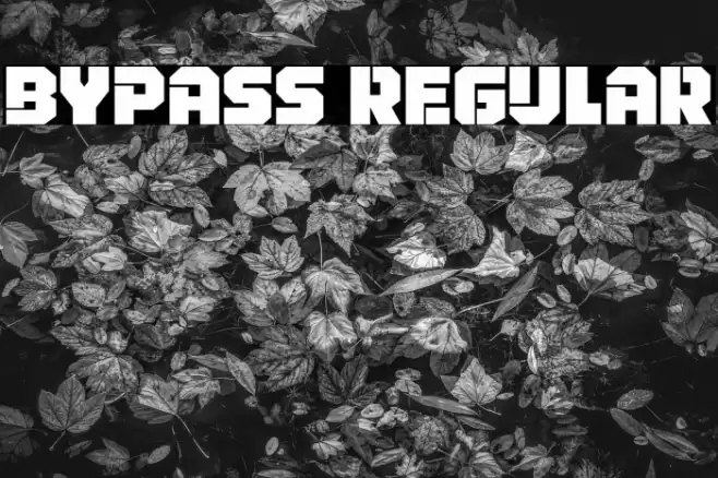 Bypass Regular Font examples