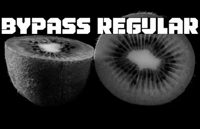 Bypass Regular Font examples