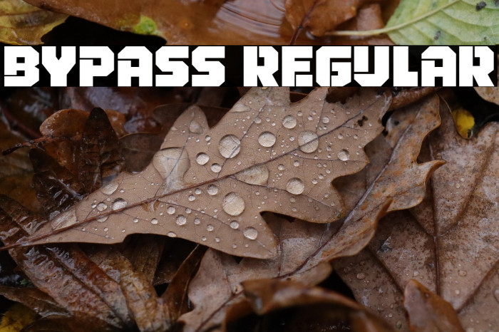 Bypass Regular Example 3